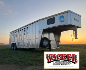 24' x 7' Lariat Stock Combo Trailer. Tandem 7,000 lbs Torsion Axles. ST235/85 R16(M) 14 Ply Tires on 16 X 6 Steel Rims Locking Tack Room with Four Removable Saddle Racks, Bridle Hooks, and Blanket Bar. One Fixed Divide Gate. 36" Roadside Door. Six Inside Tie Loops. Four Outside Tie Loops Roadside.